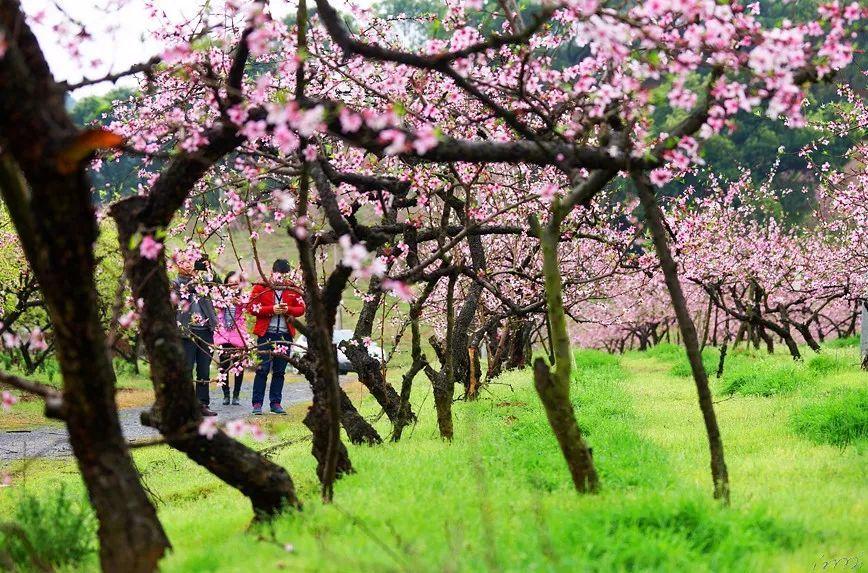 首奖5000元〡第二届“遇见·松山湖”征文启事