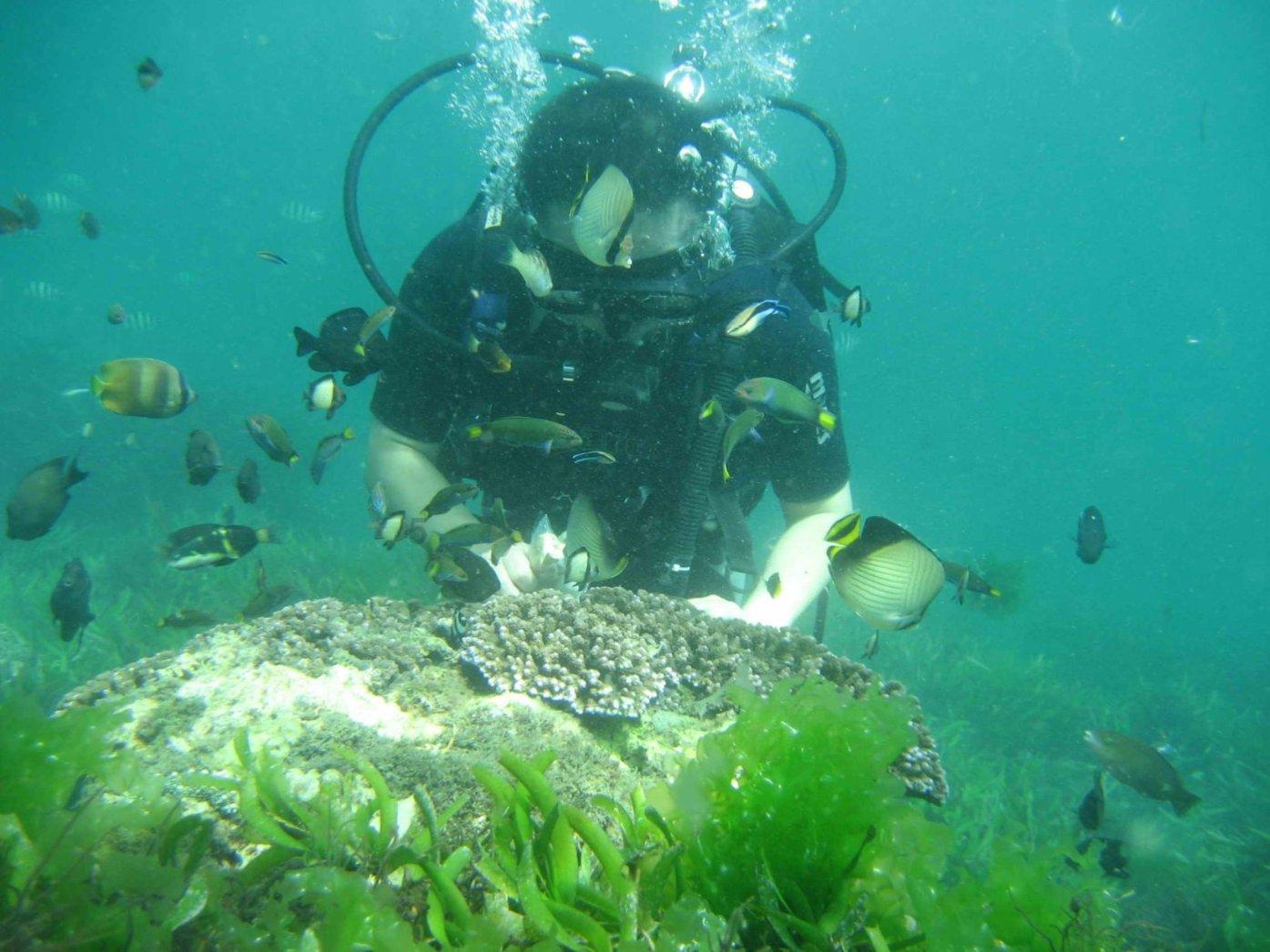 美食、特产、文创好礼集中推介 承德冰雪温泉旅游季精彩不断